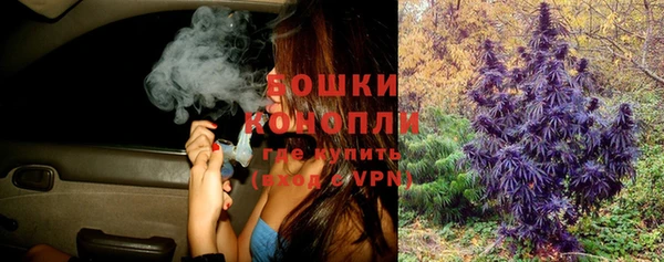 Альфа ПВП Кулебаки