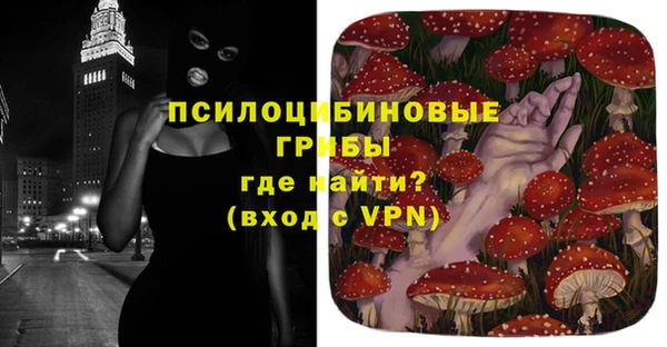 Альфа ПВП Кулебаки